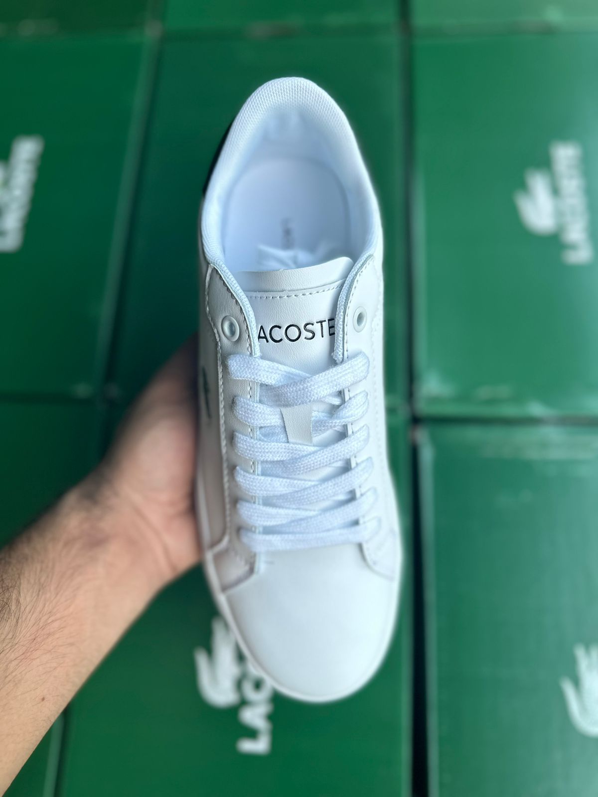 Lacoste Powercourt leather Sneakers