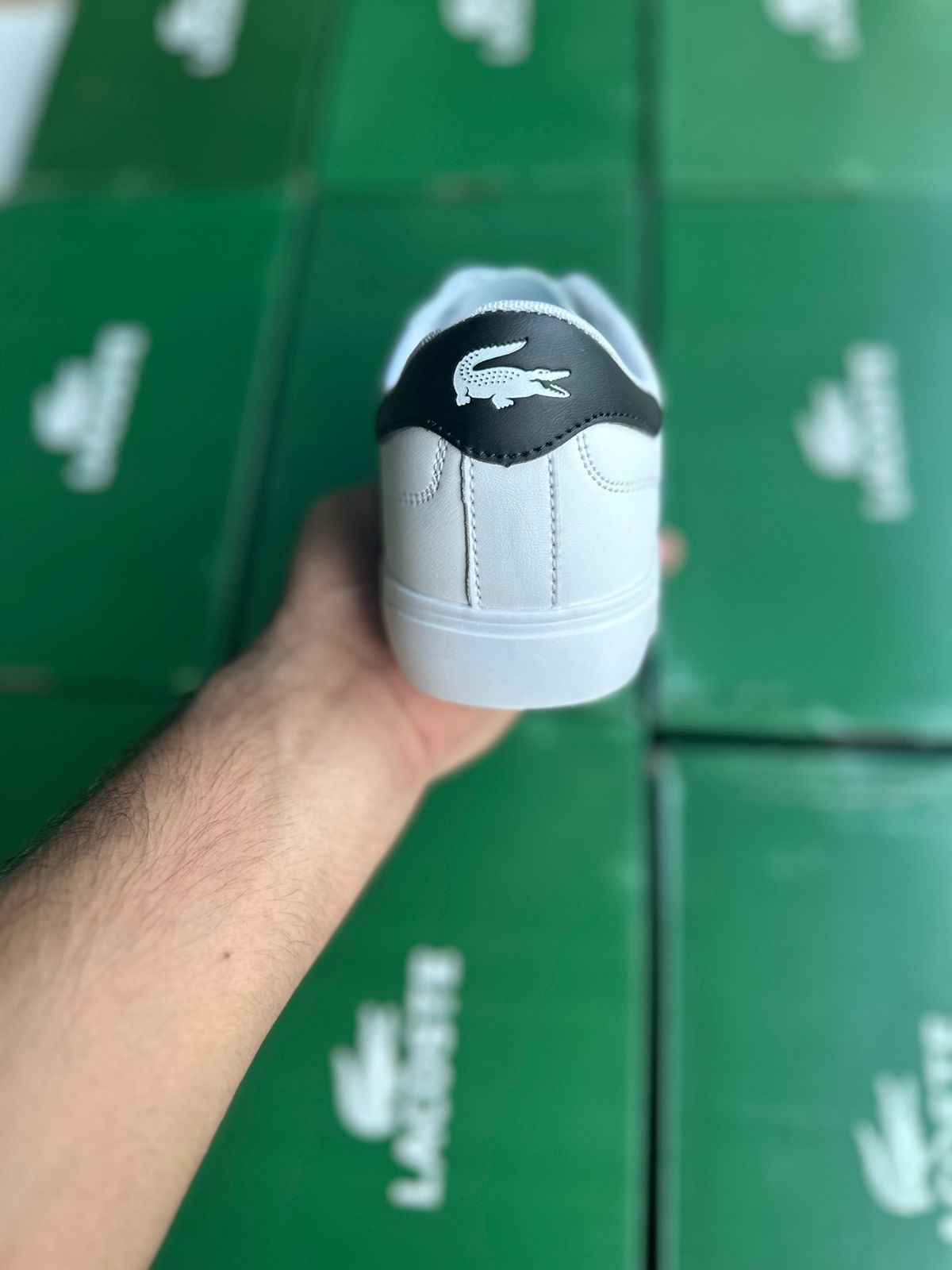 Lacoste Powercourt leather Sneakers